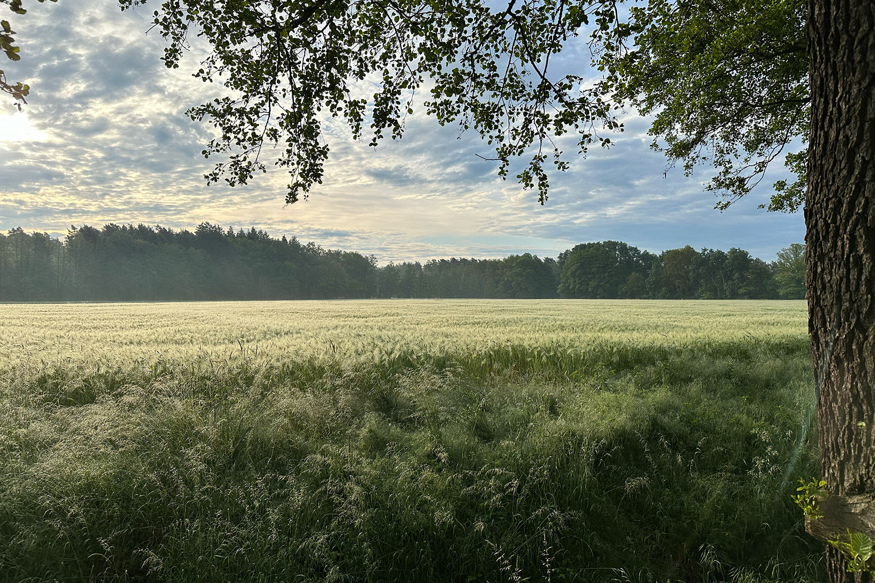 Ein Ort zum Ankommen und Loslassen