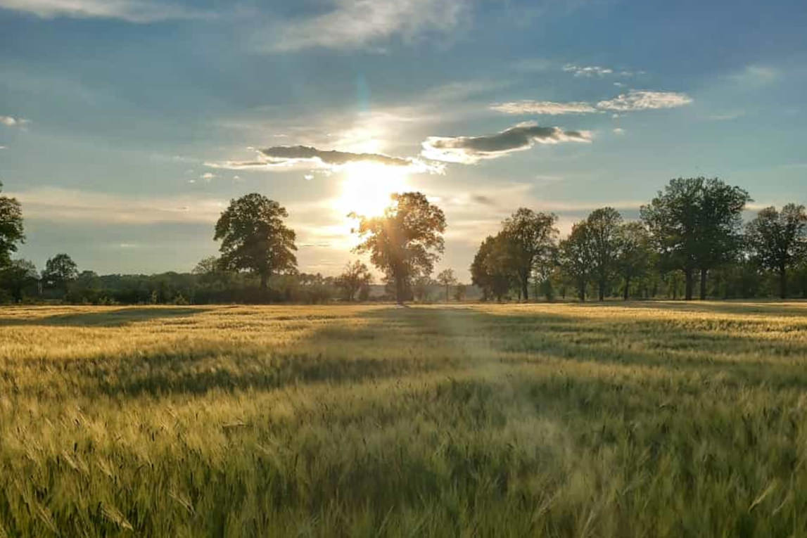 Whirlpool und Erholung im Außenbereich